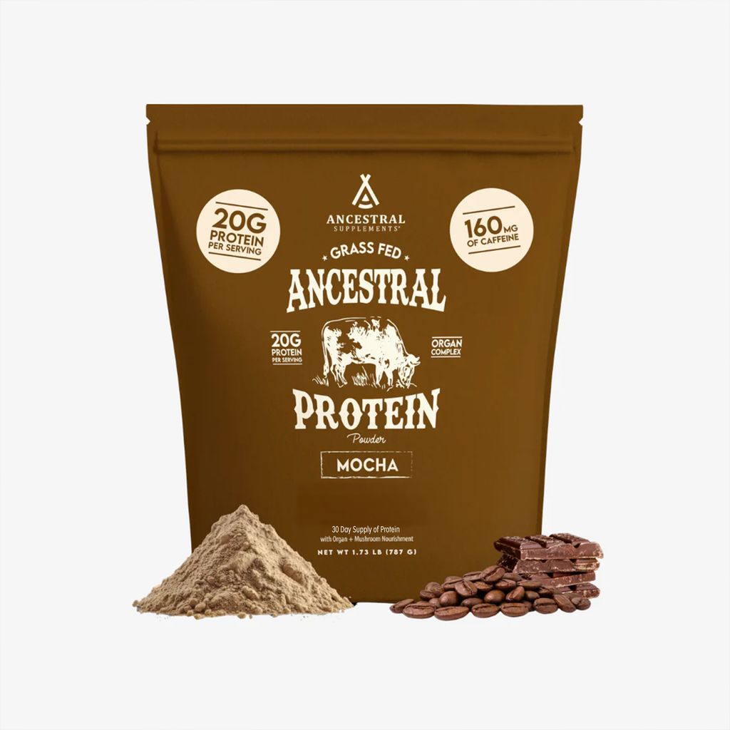 Ancestral Protein Powder - Mocha