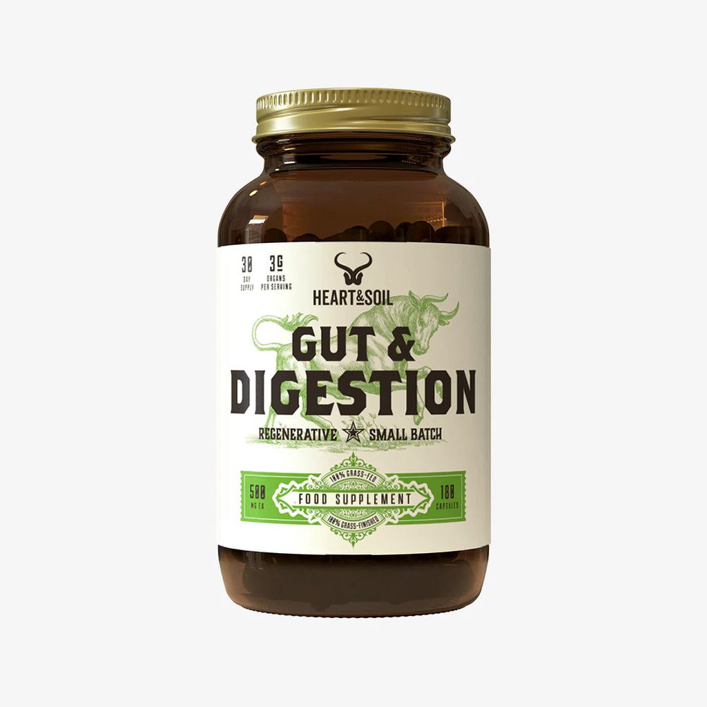 Gut & Digestion