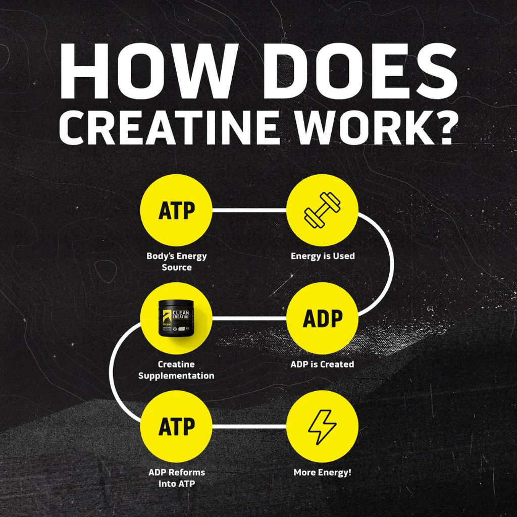 Clean Creatine - Image 4