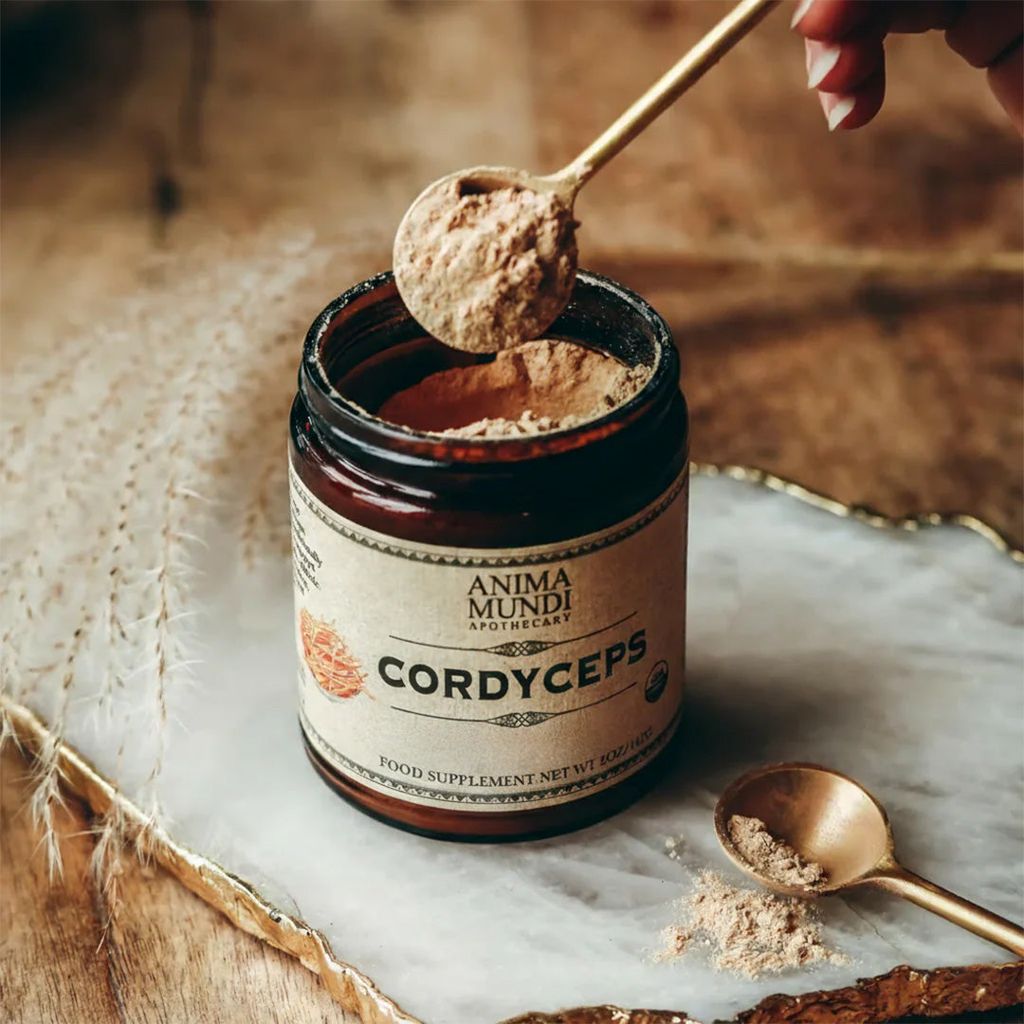 CORDYCEPS | Mushroom Powder, Energy Super Tonic - Image 3