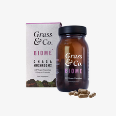 BIOME - Chaga Mushrooms with Curcumin + Ginger