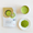 Organic Japanese Matcha Green Tea Powder (Premium Grade)