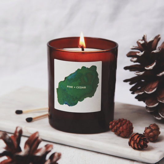 INTO THE WOODS - Pine + Cedar Amber Jar Candle